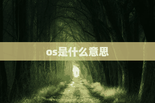 os是什么意思(os是什么意思计算机)